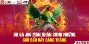 Đá gà J88